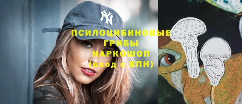 Галлюциногенные грибы Psilocybe  наркота  кракен ONION  площадка какой сайт  Сатка 